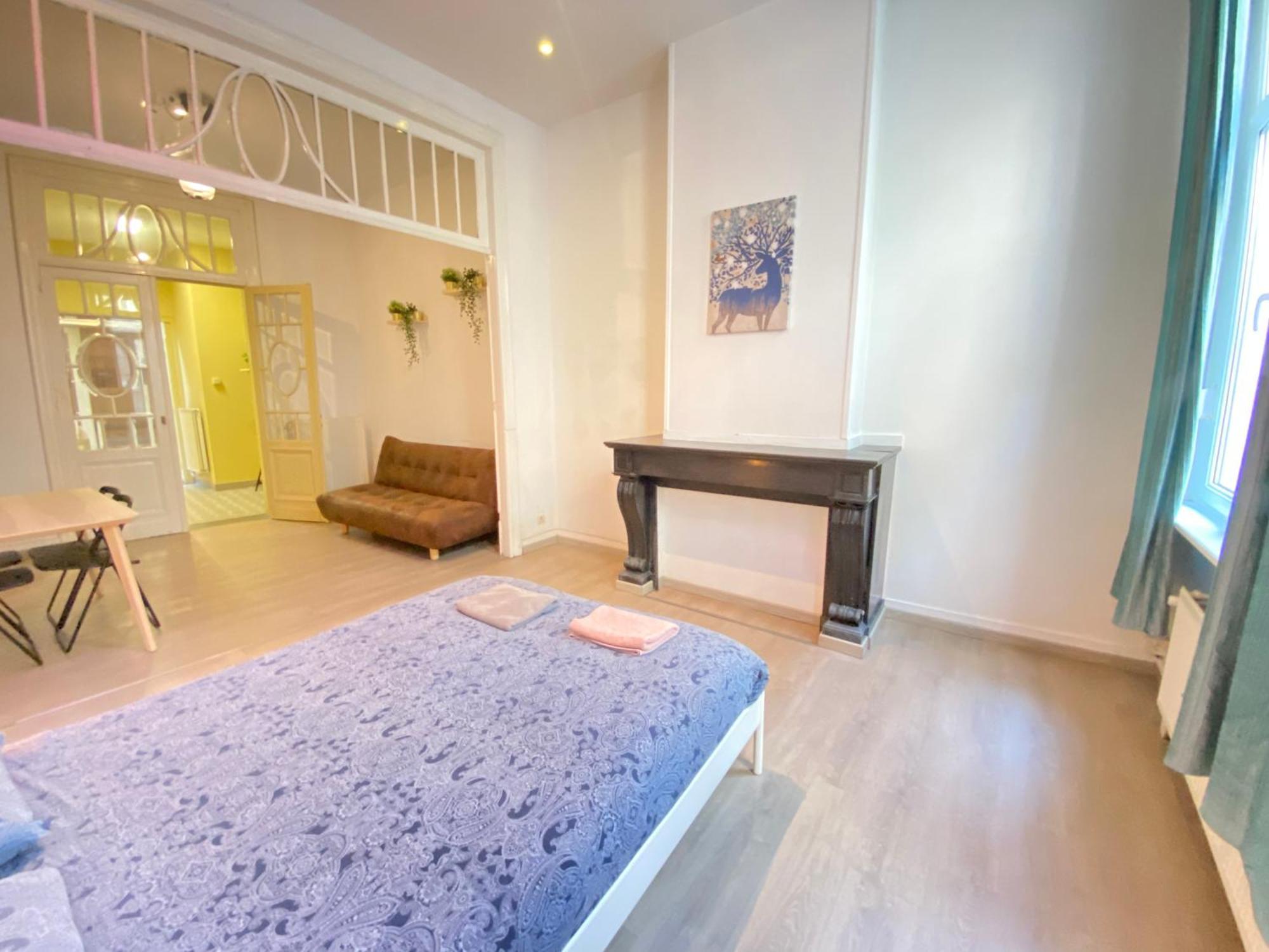 Apartment In The Heart Of Antwerp